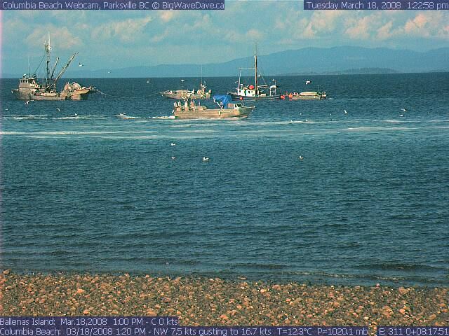 Herring Fishery Cam
