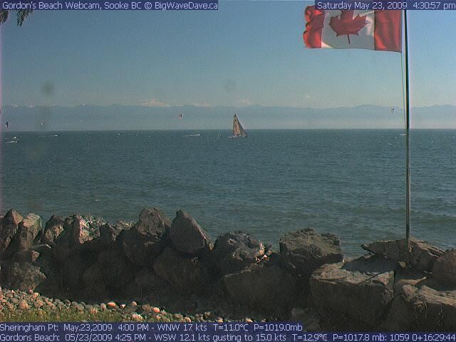 kites in swiftsure
