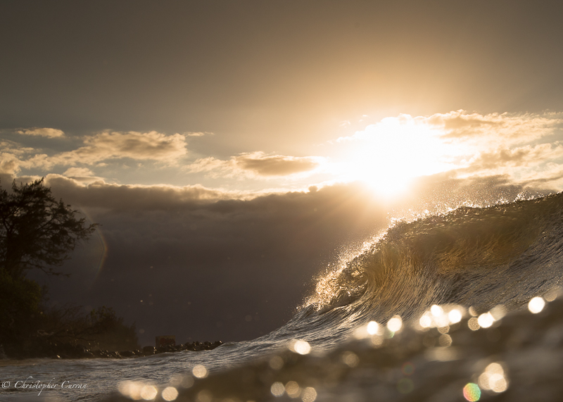 Evening light 
