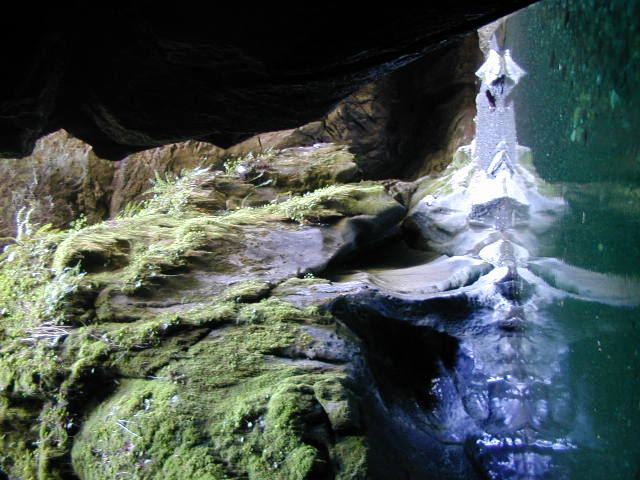 Looper Creek from inside cave
