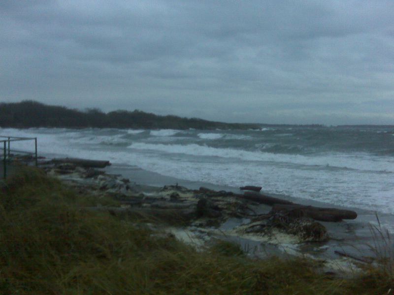 Sweet rollers in 30-40 knots near Cattle Pt, Nov 18
