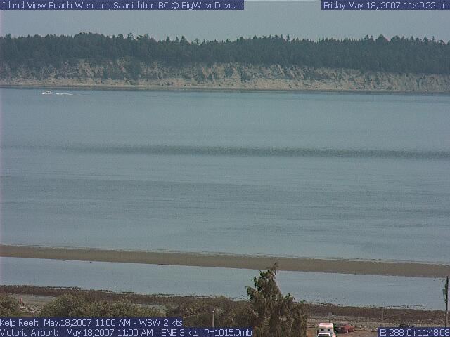 Longshore spit on a minus tide
