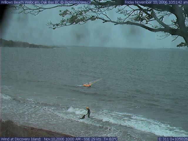 when the wind dies you can still play in the waves with the dog!
