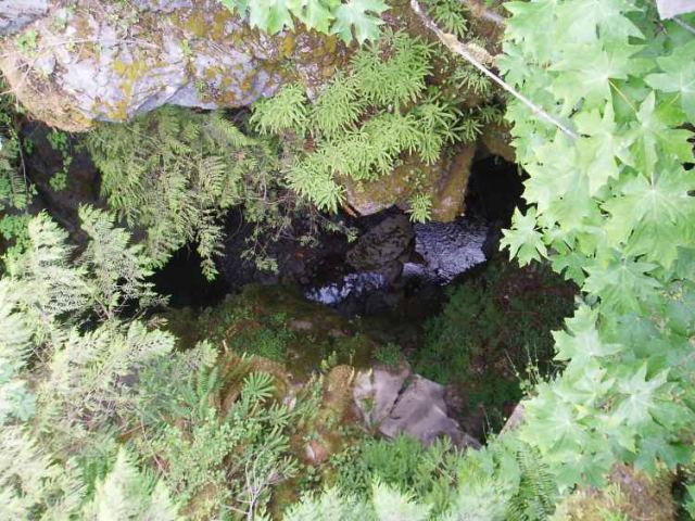 Look WAAAAAAY Down! Looper Creek Bridge
