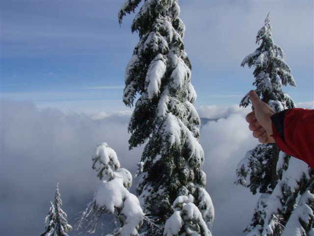 Elsay Lake in the clouds today
