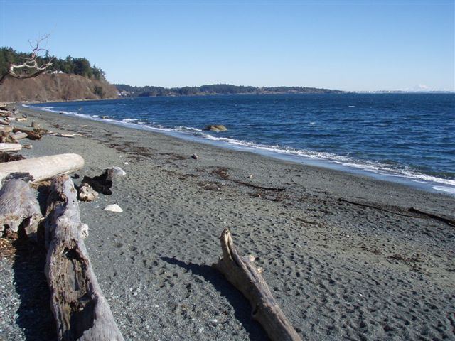 Upwind of Taylor access, note the glass in front of the gust
