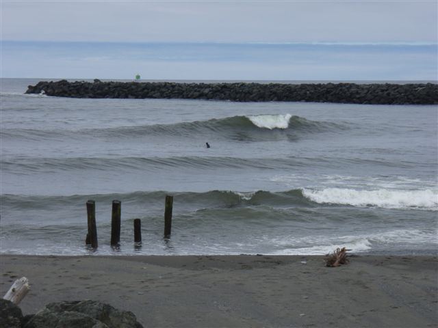 Rogue Jetty, Crabbing w/ surfing waves
