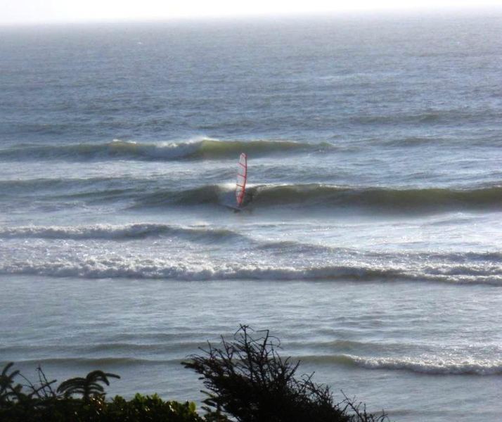 Sparkly on his new sail :) at Ocean Beach
