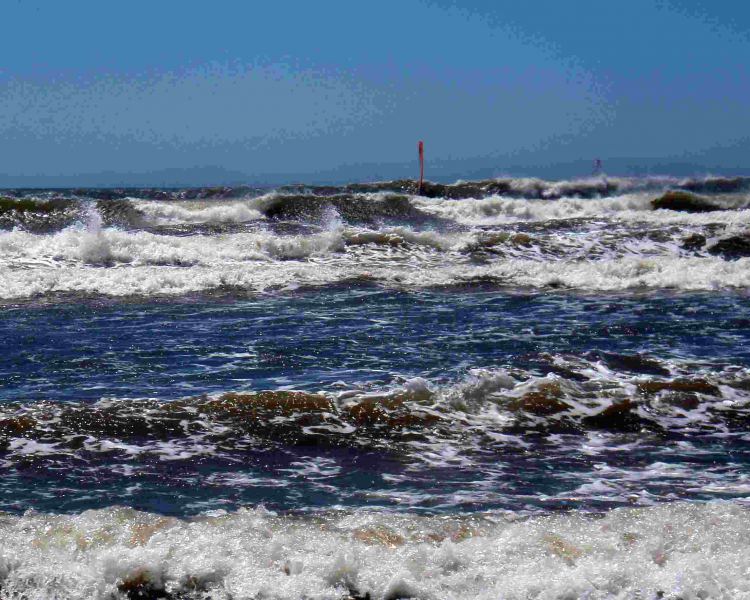 Sharkfin Soup, Cape
Eastman photo
