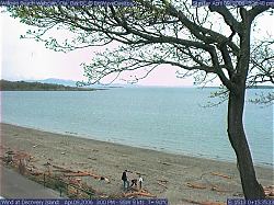 willows webcam kids playing and pruning day.jpg