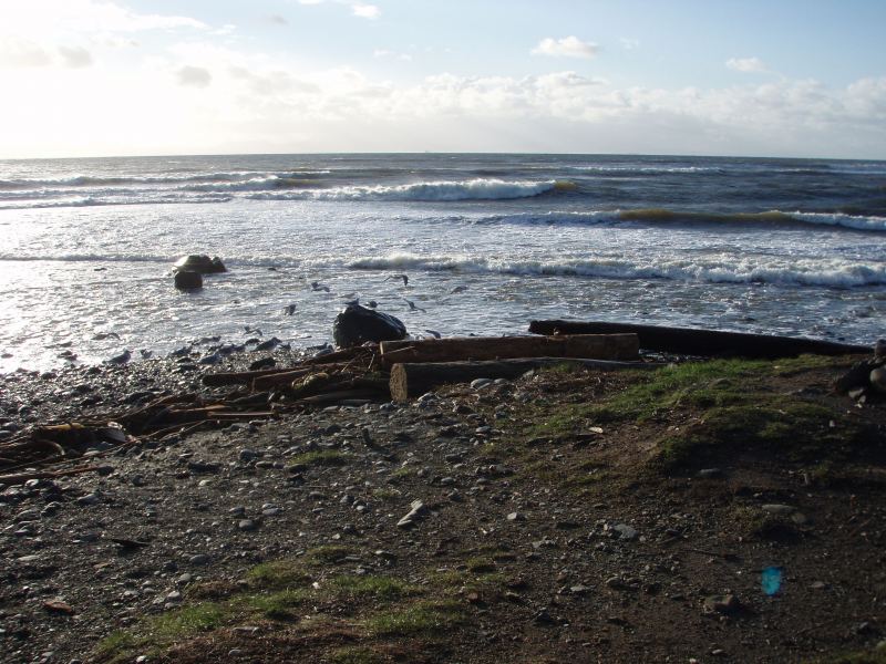 2007 wave action you know where.
blowing 25 to 30 knts fellow's know one but the surfers out.
