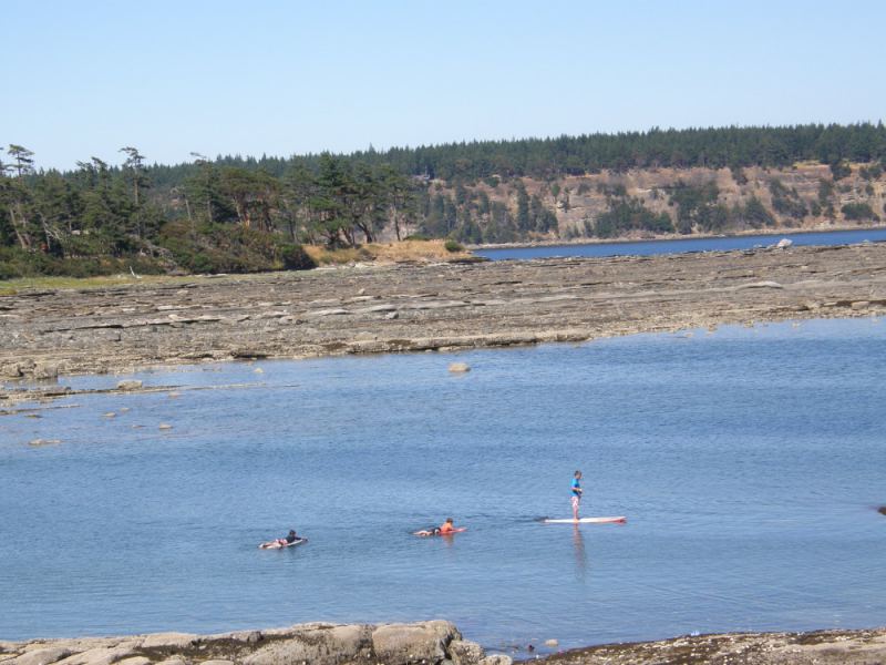 Dad SUPing the 9'8" and the boys paddling their surfboards (building up paddle power)
