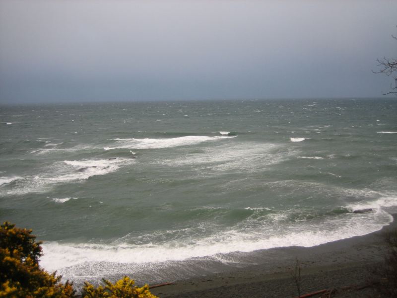 windy day at cook
