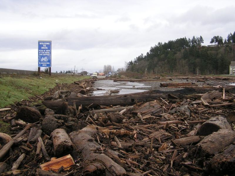 2006 Feb 4 @ Ferry Terminal - driftwood from the storm serge
