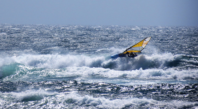 foamy (Redbaron)
photo by Mandi Sinclair, Florence, June 21
