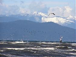 2006 Feb 13 @ Acadia - two in flight.jpg