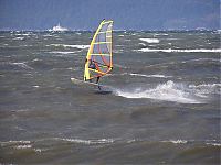 2006 Feb 23 - flying fish.jpg