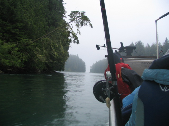 Nitinat Narrows from Fred's boat
