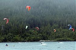 0506-Nit-E-8 Kites.jpg