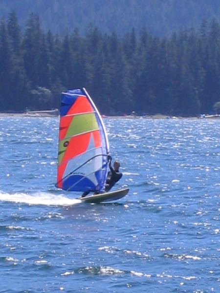 Sailing from the log dump
