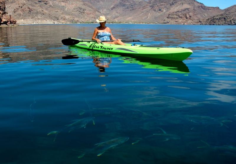 Surrounded  by fish in Bahia del Concepssion, Baja sur
