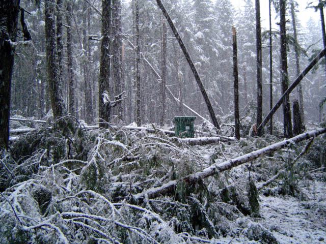 Keywords: Nitinaht Outhouse