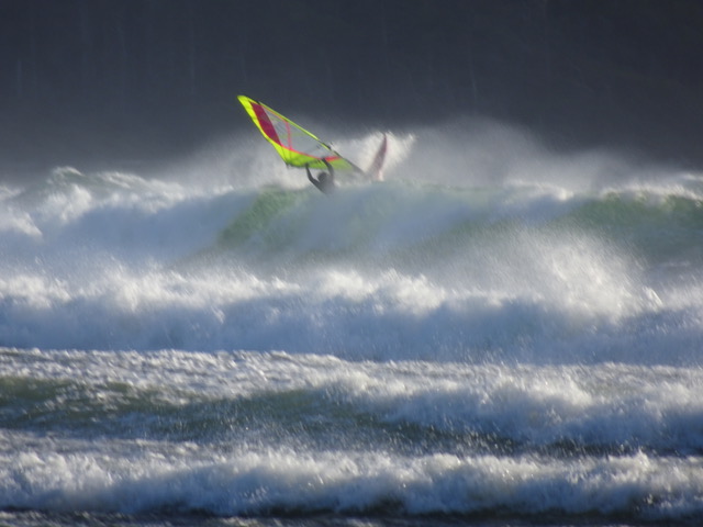 Tofino
