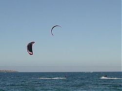 kite_sailing_Ross_Bay_055.JPG