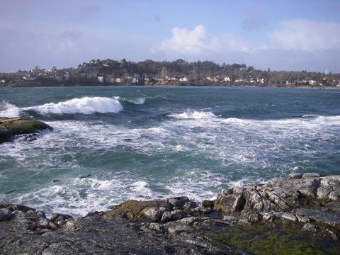 Oak Bay point break
Oak Bay point break
