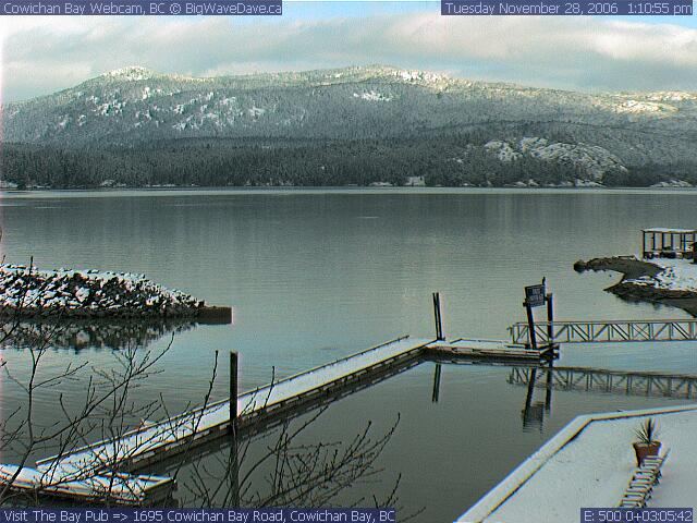 Snowy Cowichan Bay
Thought I'd upload a snow picture to look at come summer
