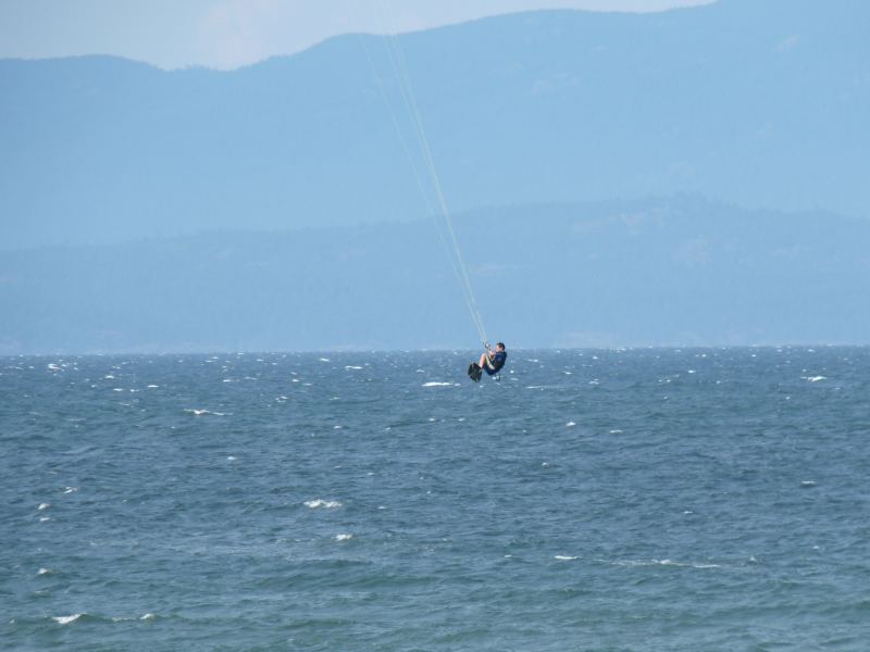 Snapper getting big air at SP
