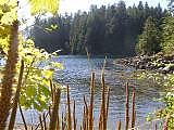 Beach_inside_Nitinaht_Narrows.jpg