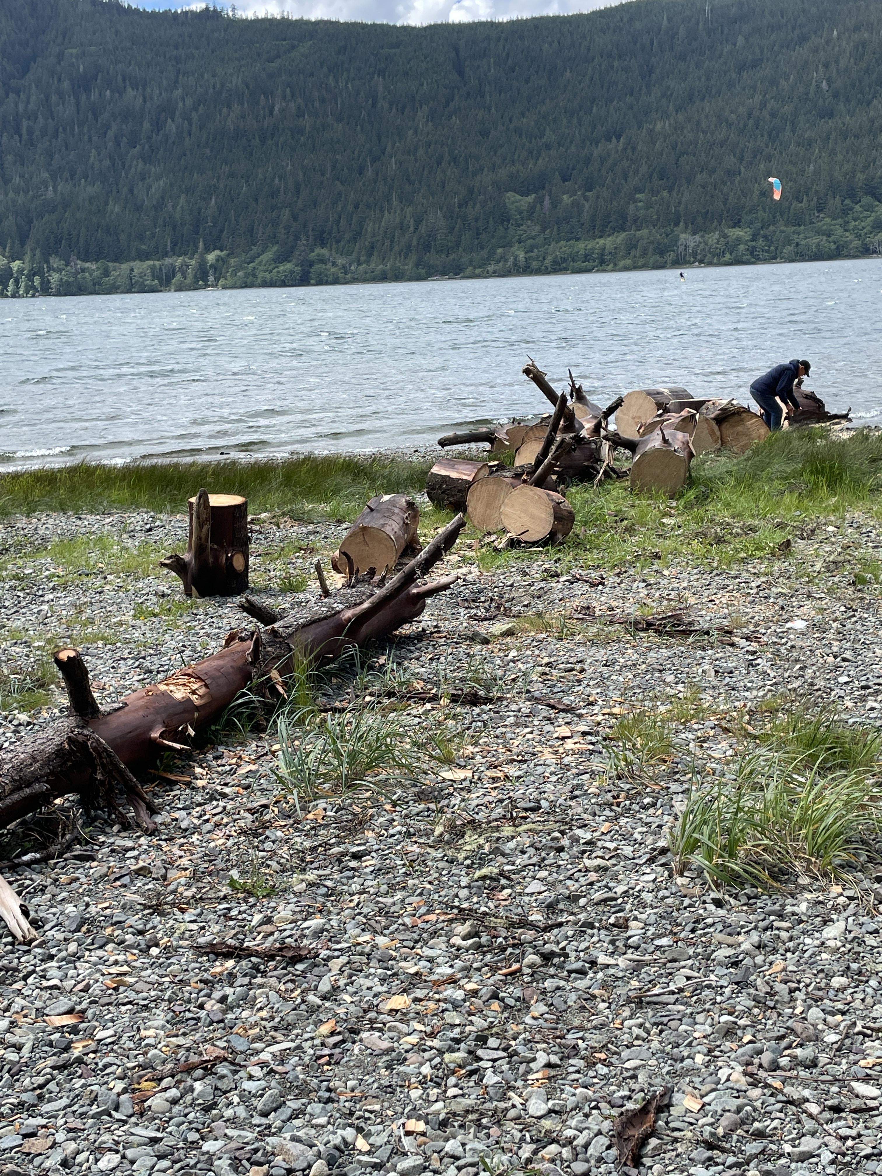 IMG_1943
How the log at the beach is slowly disappearing.
