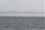 20130605_gordons-windsurf_0339~0.JPG