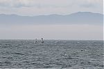 20130605_gordons-windsurf_0365~0.JPG