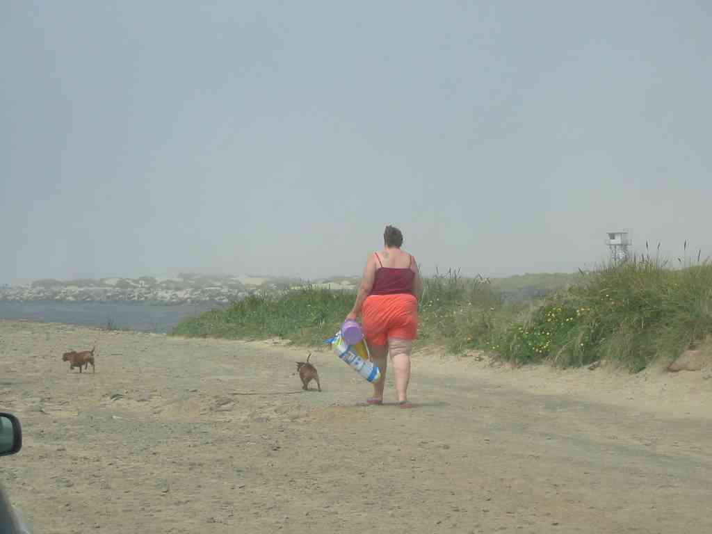 jetty chicks.jpg